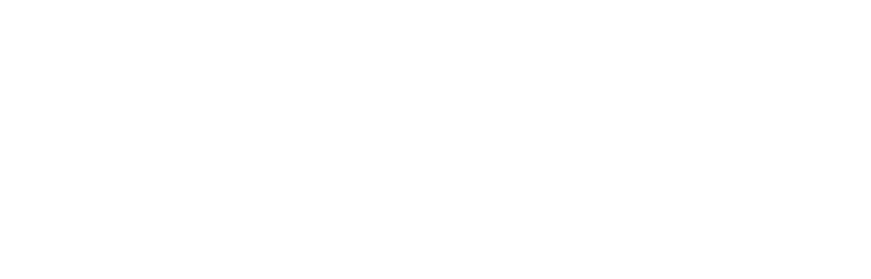Logo Institut Schwarzl